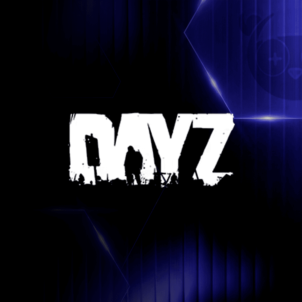 Conta DayZ